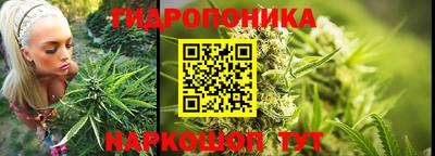 молекула духа Тара