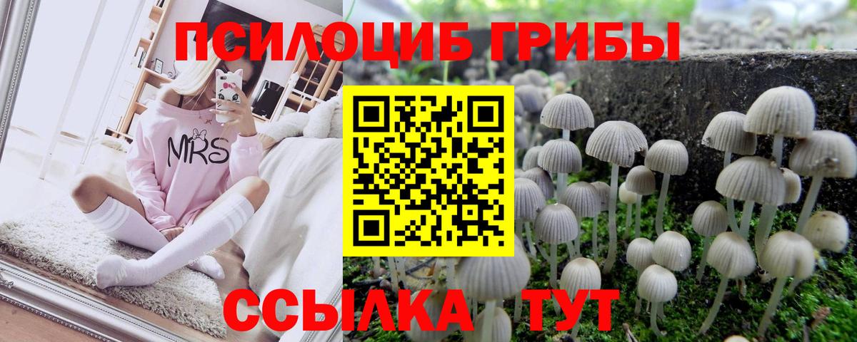 Псилоцибиновые грибы GOLDEN TEACHER  Псилоцибиновые грибы ЛСД  Вход с VPN  Мытищи 